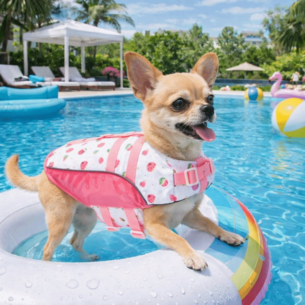 Life Jacket Buoyancy - Gilet de sauvetage réglable pour chien,