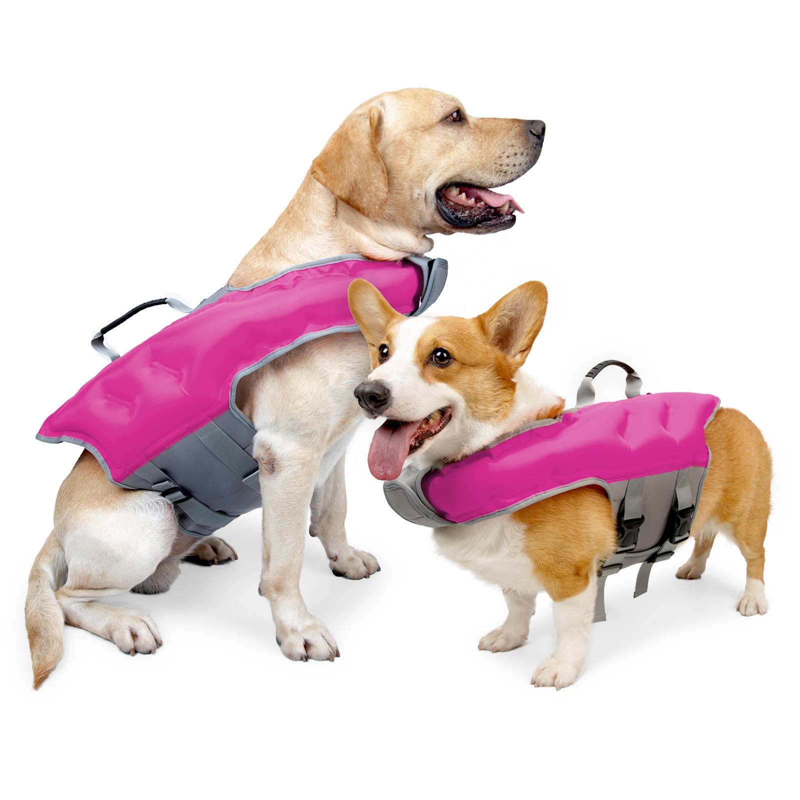 Gilet de sauvetage pour animau - Life Jacket Buoyancy avis et prix