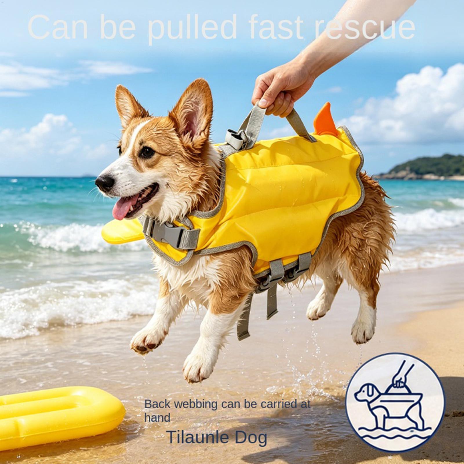 Gilet de sauvetage pour chien  - Life Jacket Buoyancy avis et prix