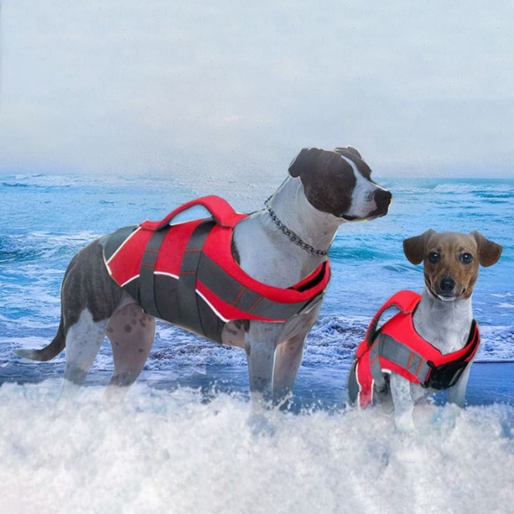 Gilet de sauvetage réfléchissa - Life Jacket Buoyancy avis et prix