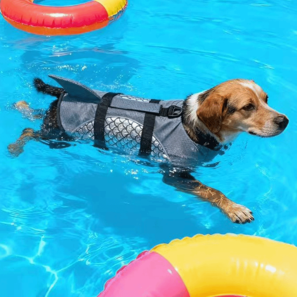 Gilet de sauvetage pour chien  - Life Jacket Buoyancy avis et prix