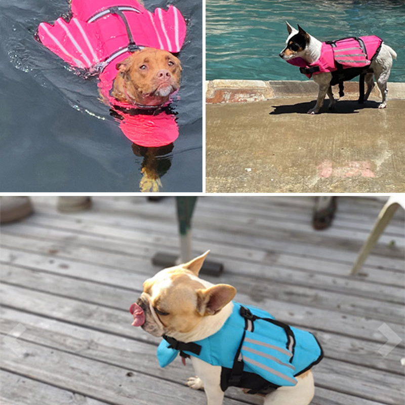 Gilet de sauvetage pour chien  - Life Jacket Buoyancy avis et prix
